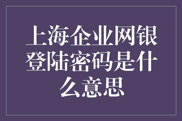 上海企业网银登陆密码是什么意思